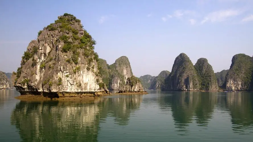 网络化高性能科技